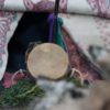 Retraite chamanique en Équateur – Image 11