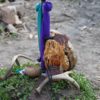 Retraite chamanique en Équateur – Image 12